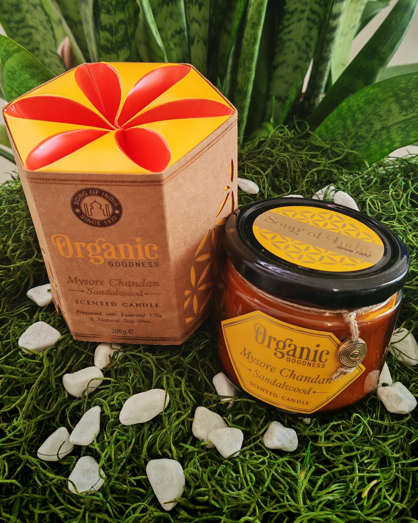 ORGANIC CANDLE/ SONG OF INDIA