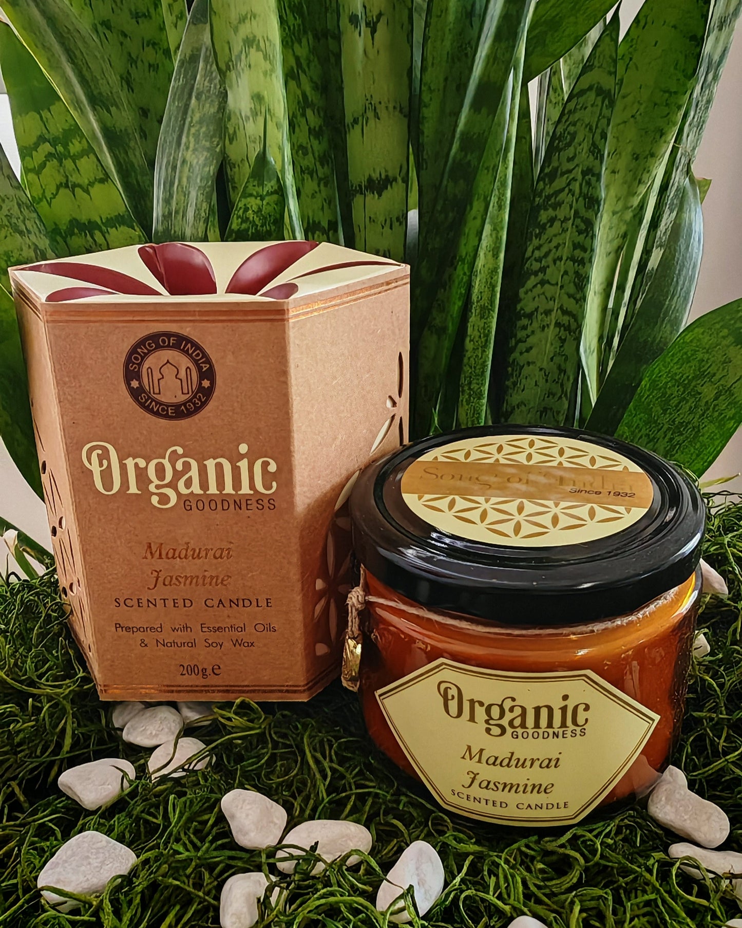 ORGANIC CANDLE/ SONG OF INDIA