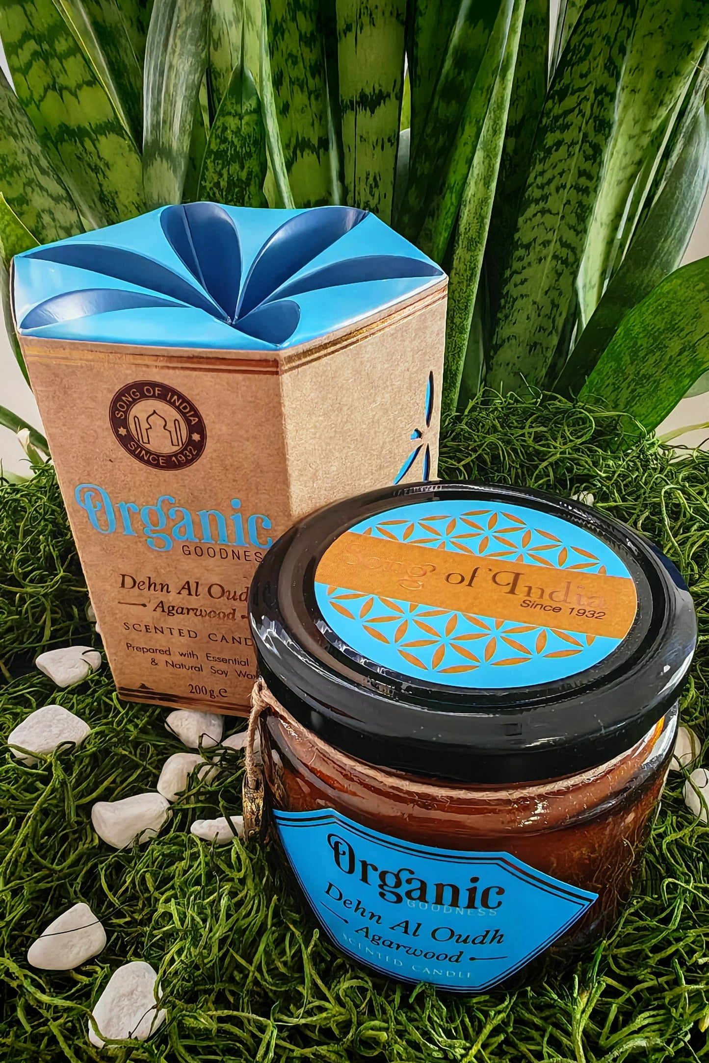 ORGANIC CANDLE/ SONG OF INDIA